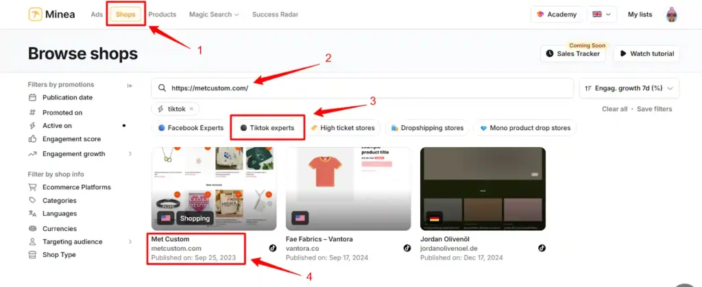 Analyzing Competitor TikTok Ad Strategies with Minea