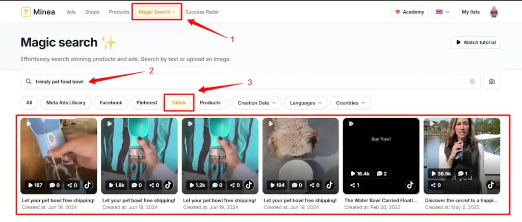 Minea Magic Search for TikTok Product Research