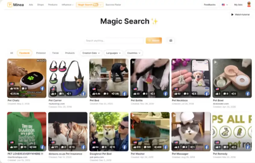 Minea Magic Search